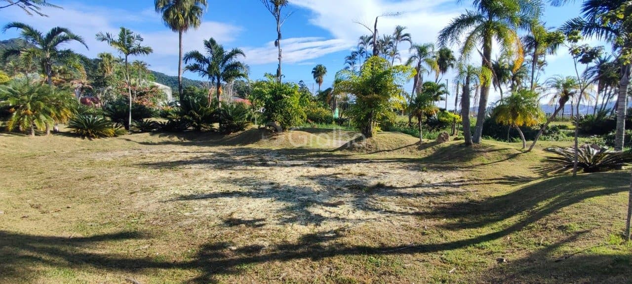 b6n6cf-iYmr1YH2p647_386126841a5856d06d.jpg