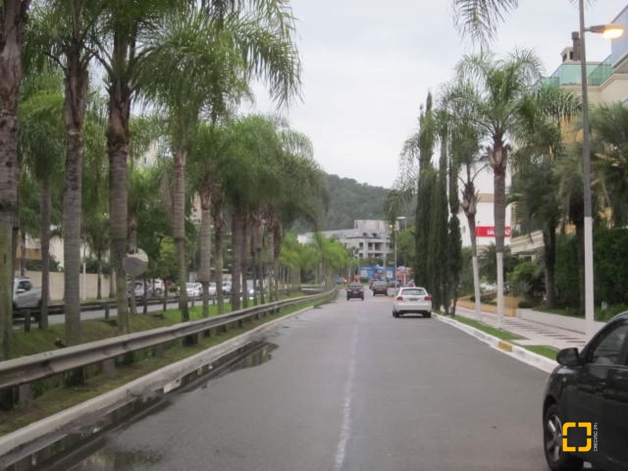 bs0f3h-i263t89m82z2981qt6_54281680927f32cf3b.jpg