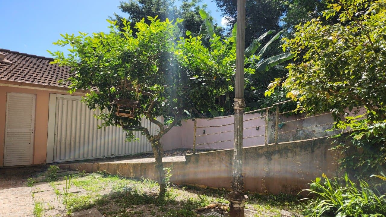 bu9jwd-i477TAN1K1T_14721678a964ed0076.jpg