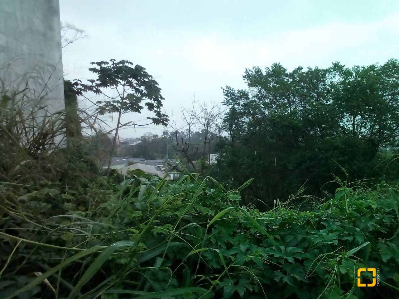 Imagem do anúncio 4