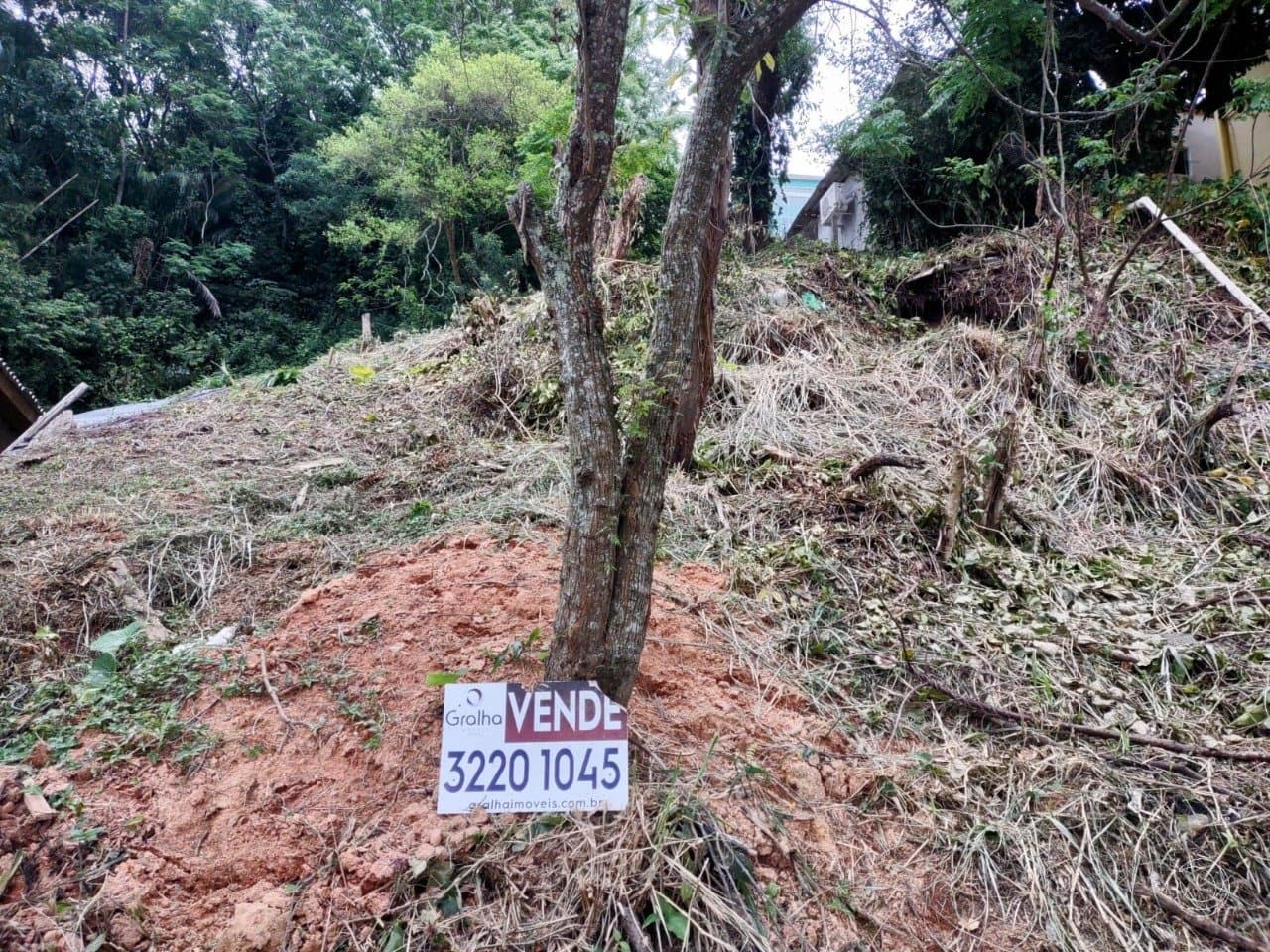 Imagem do anúncio 4
