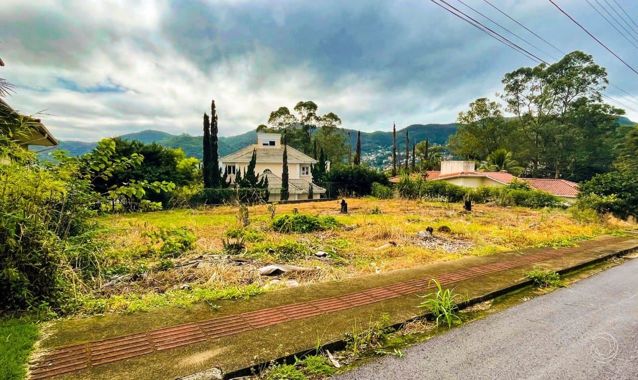 Foto do anúncio número 5