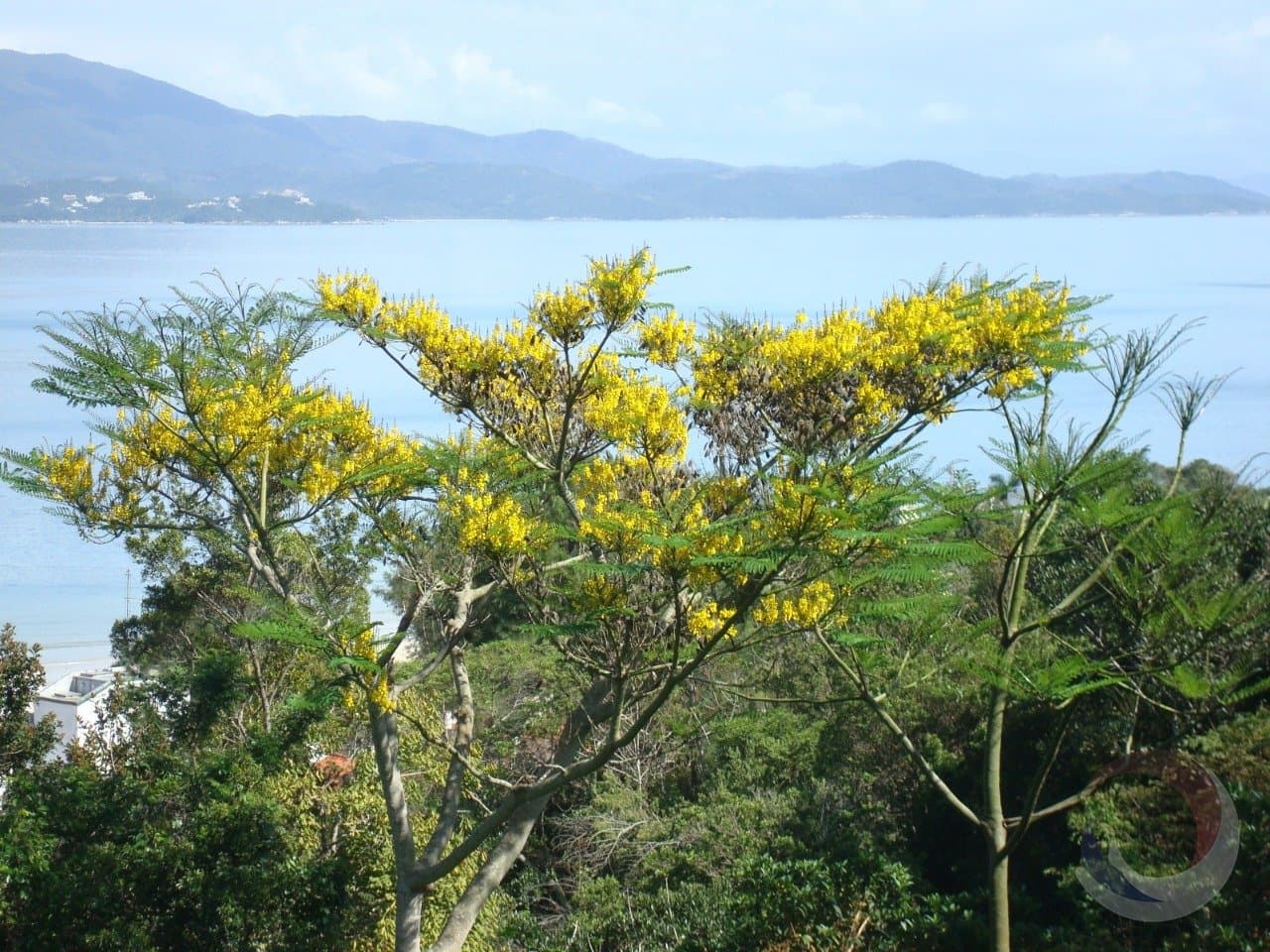 Foto do anúncio número 2