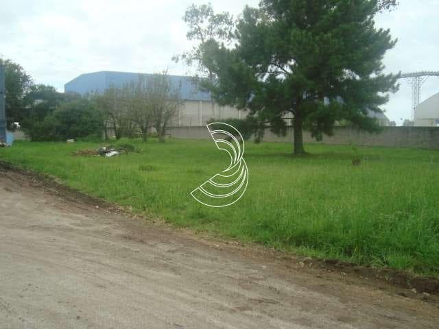 Foto do anúncio número 3
