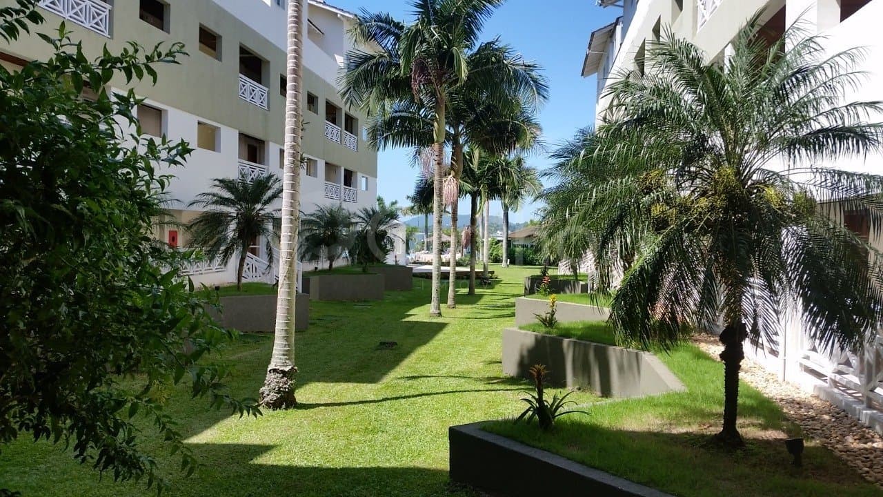dbggt-i295P_4271669ce7b5373df4.jpg