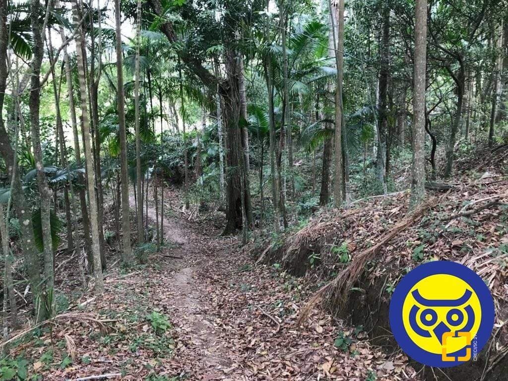 Imagem do anúncio 4
