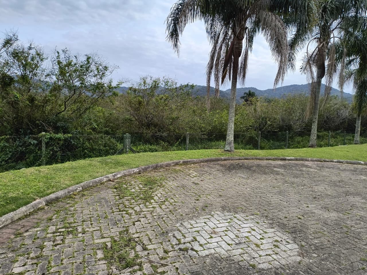 dig95-ijQe997b86_40789690e0ba508d4a.jpg