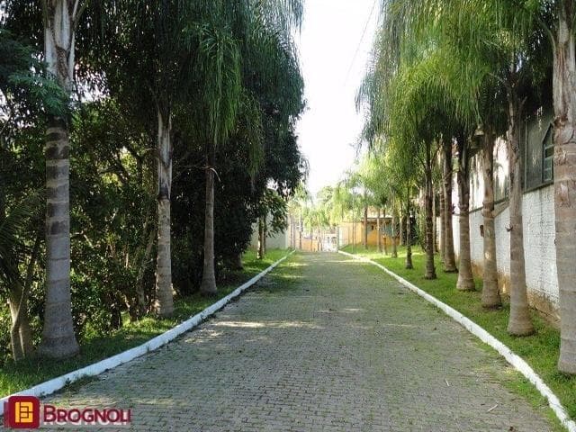 Imagem do anúncio 4