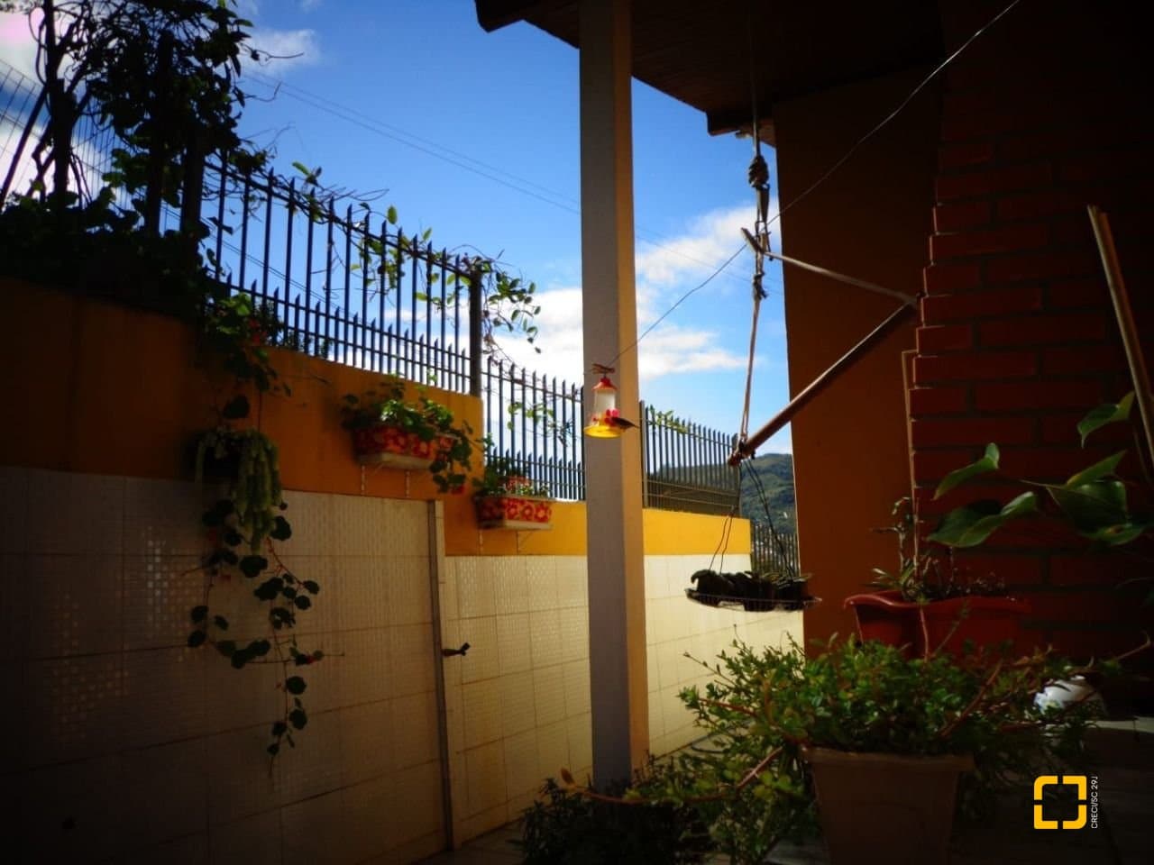 Foto do anúncio número 5