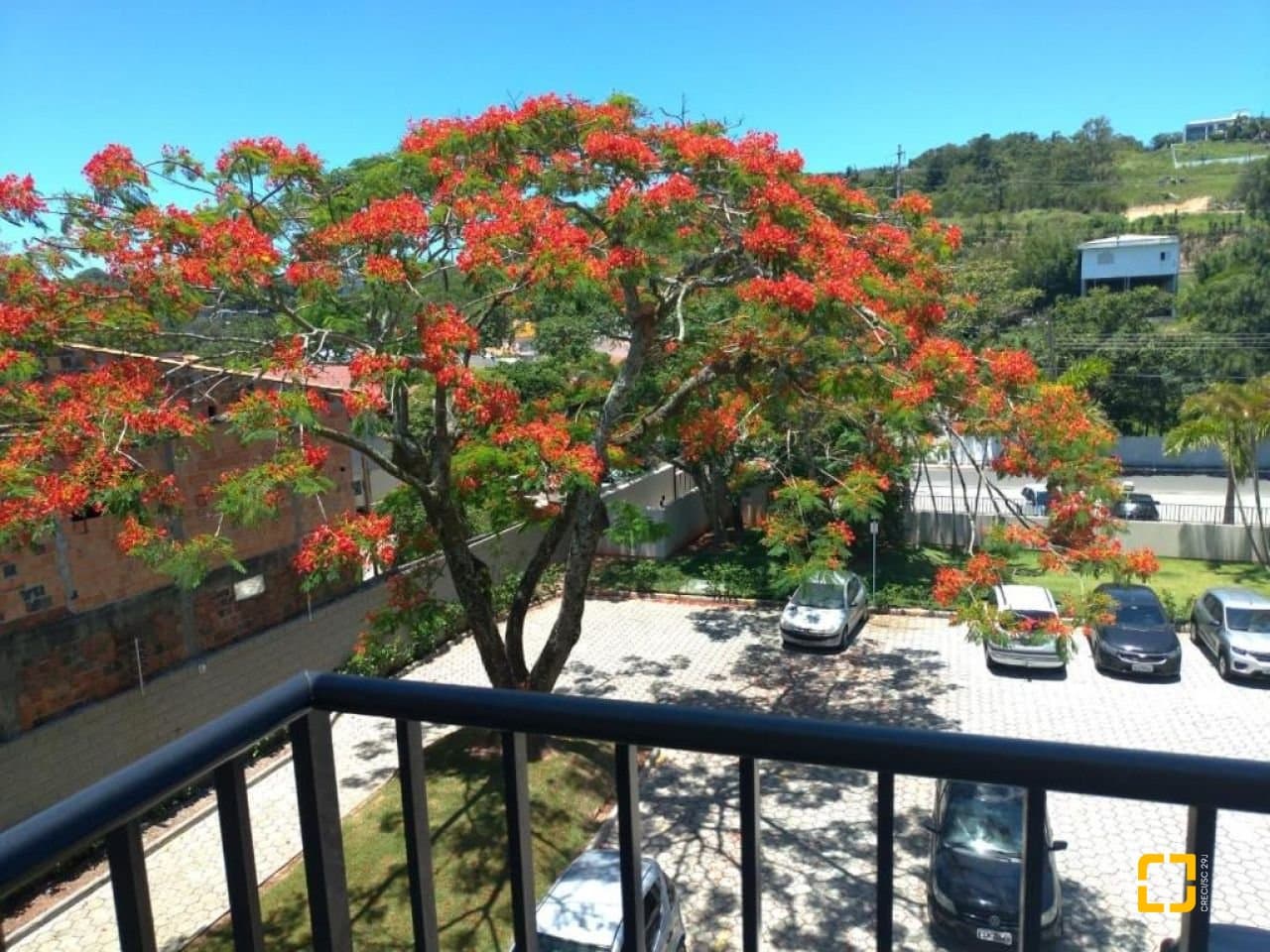 Imagem do anúncio 1