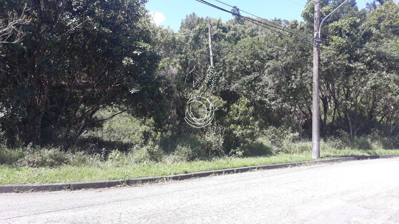 Foto do anúncio número 2