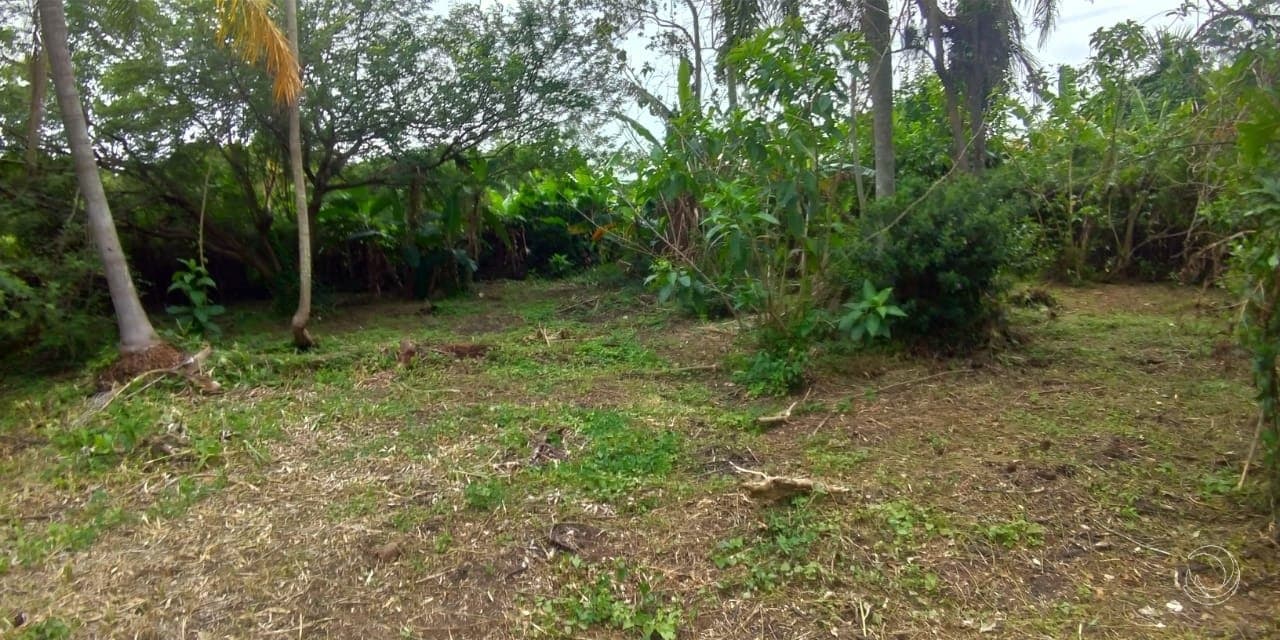 Imagem do anúncio 6