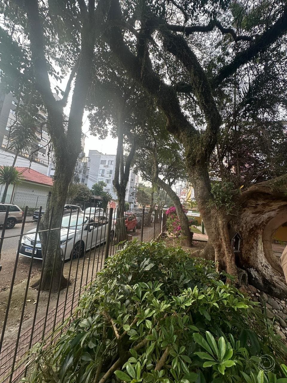 Imagem do anúncio 6