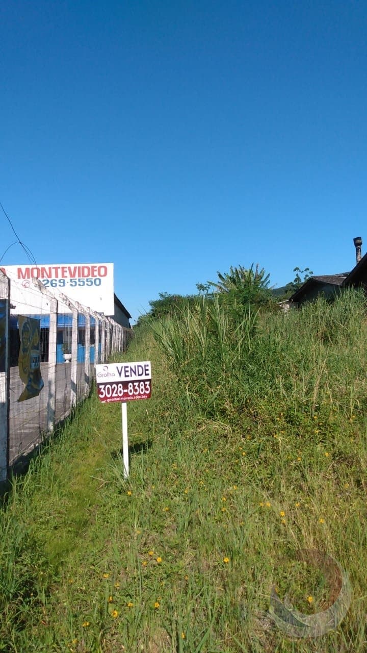 Imagem do anúncio 6