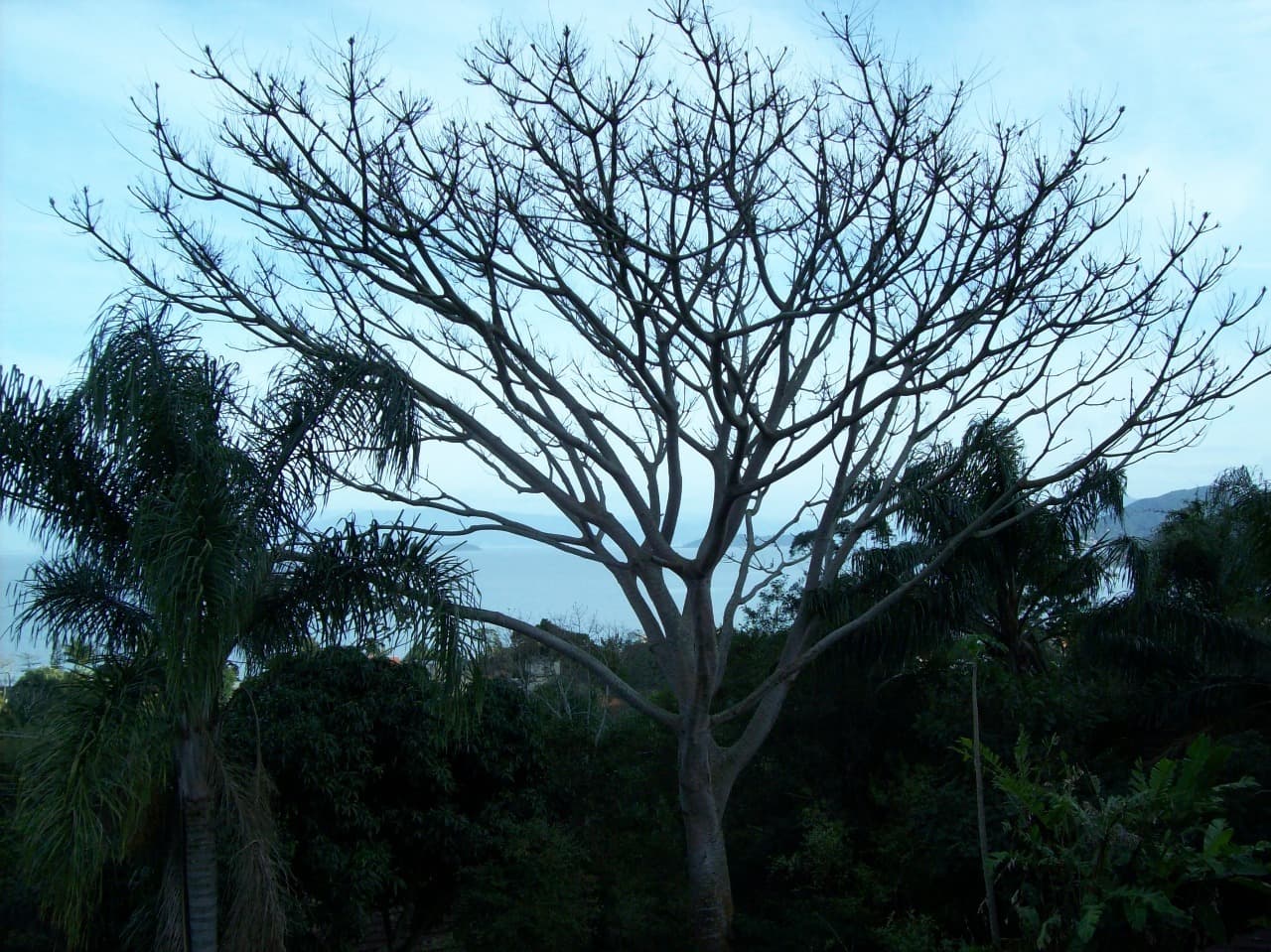 Imagem do anúncio 3