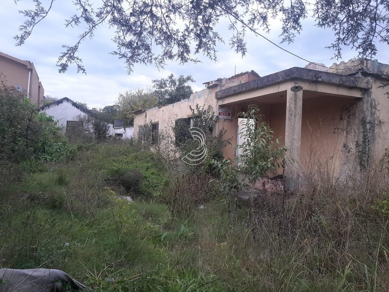 Foto do anúncio número 5