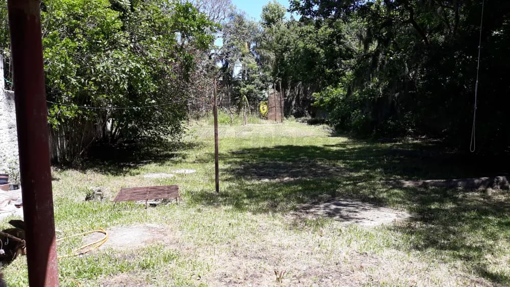 Foto do anúncio número 3