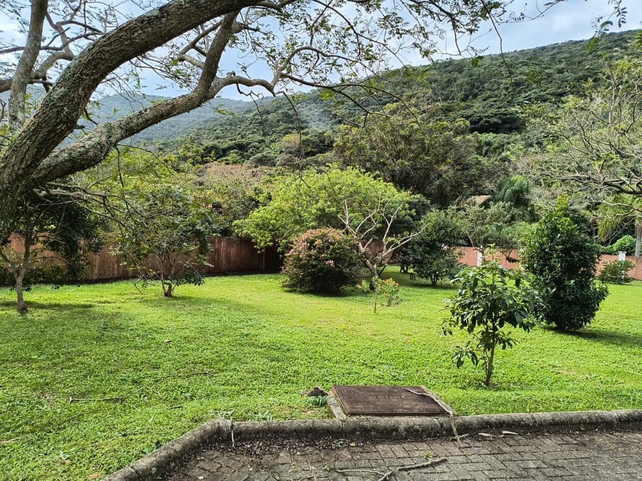 Imagem do anúncio 3