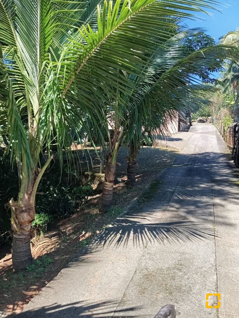 Foto do anúncio número 2