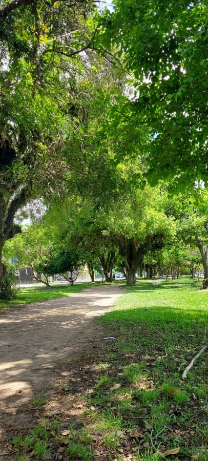 Foto do anúncio número 3