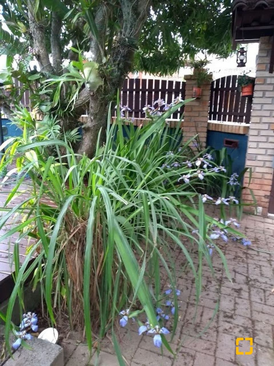 Imagem do anúncio 3