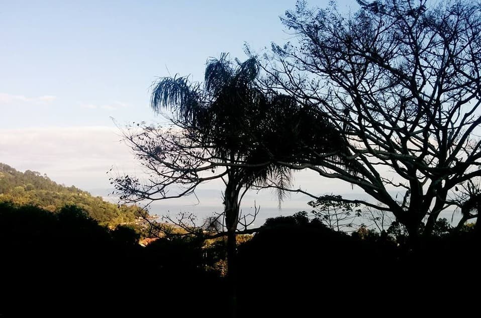 Imagem do anúncio 6