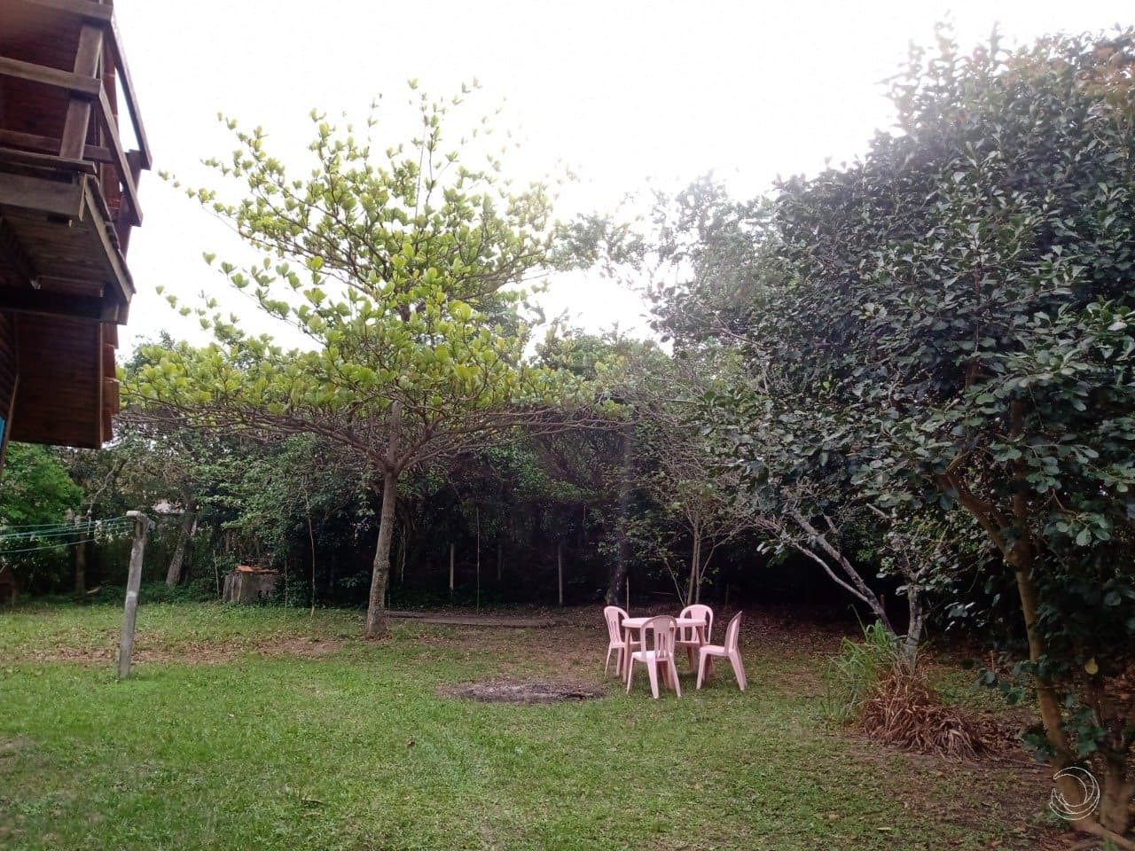 hoghng-i653N9T53_3695067a3d17875118.jpg