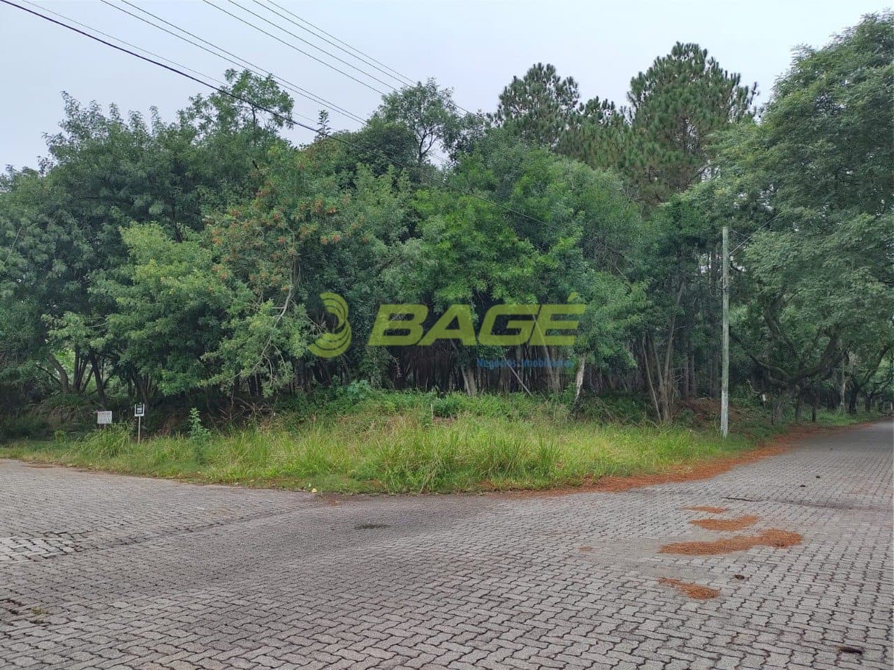 i288bnr255e50Ab23_71446271896d9587d.jpg