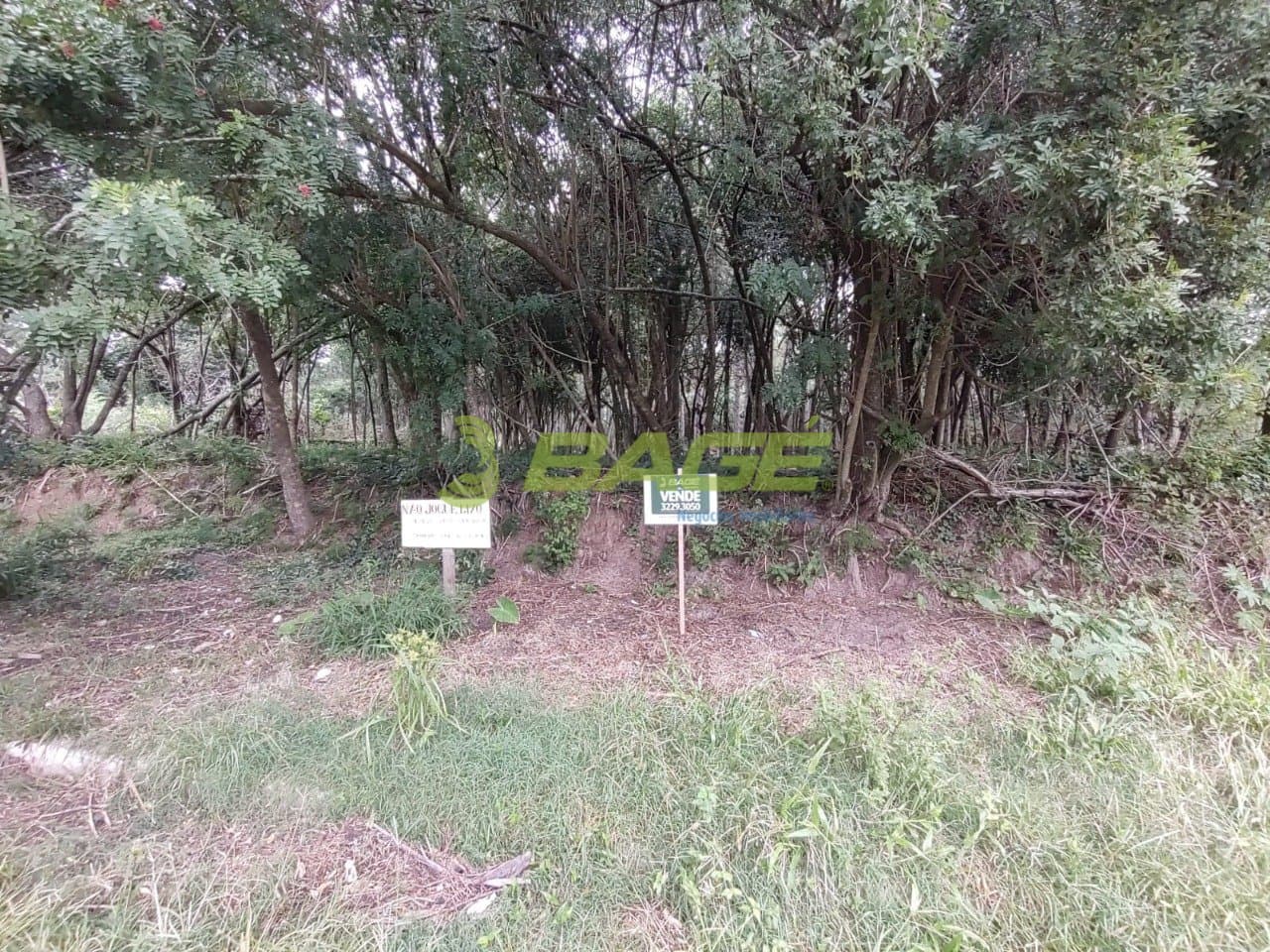 Foto principal do anúncio