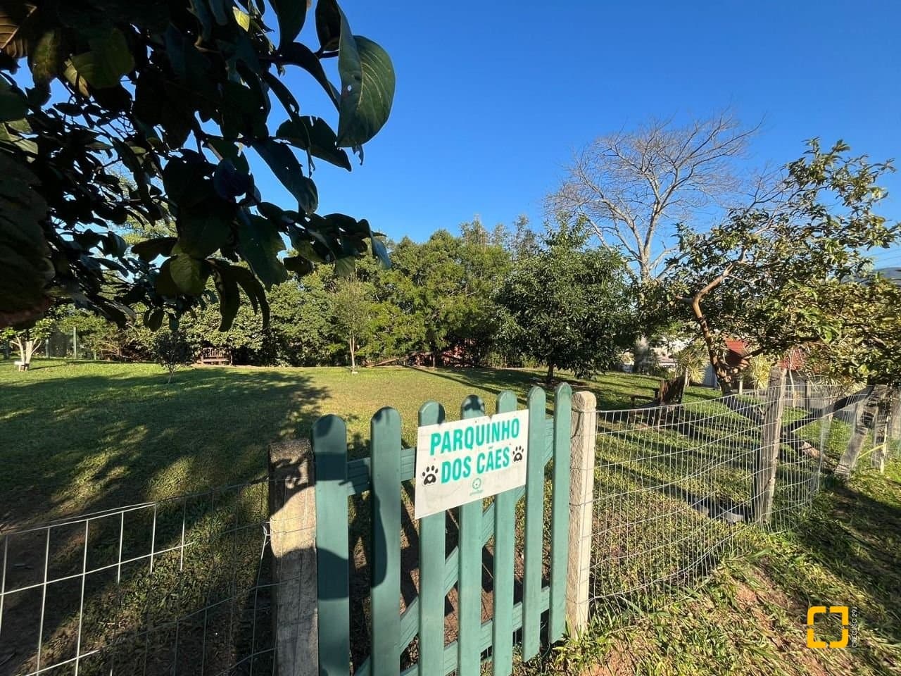 Foto do anúncio número 5