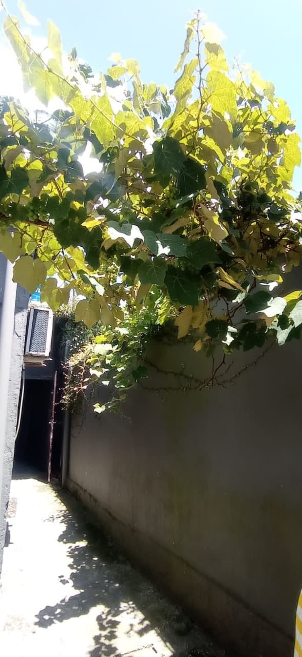 Foto do anúncio número 4