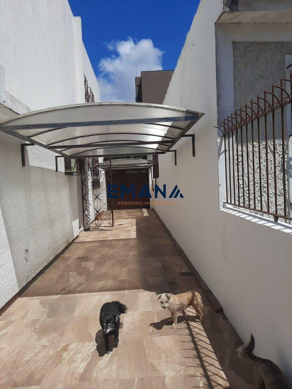 Foto do anúncio número 4