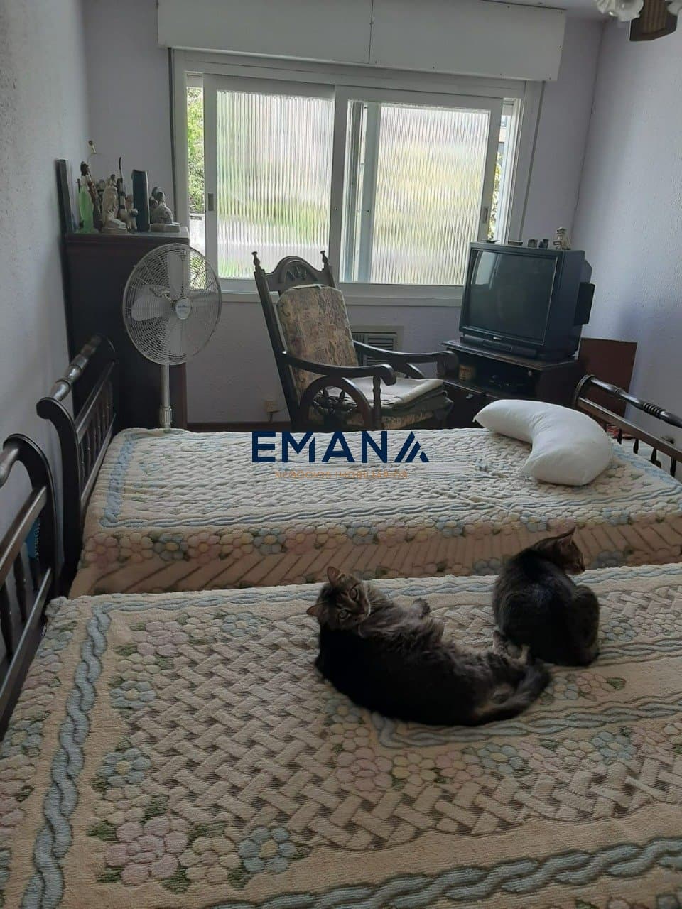 Foto do anúncio número 5