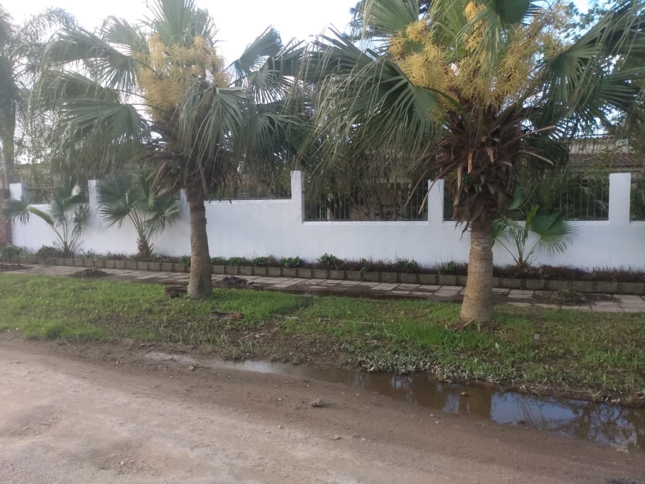 Foto do anúncio número 4