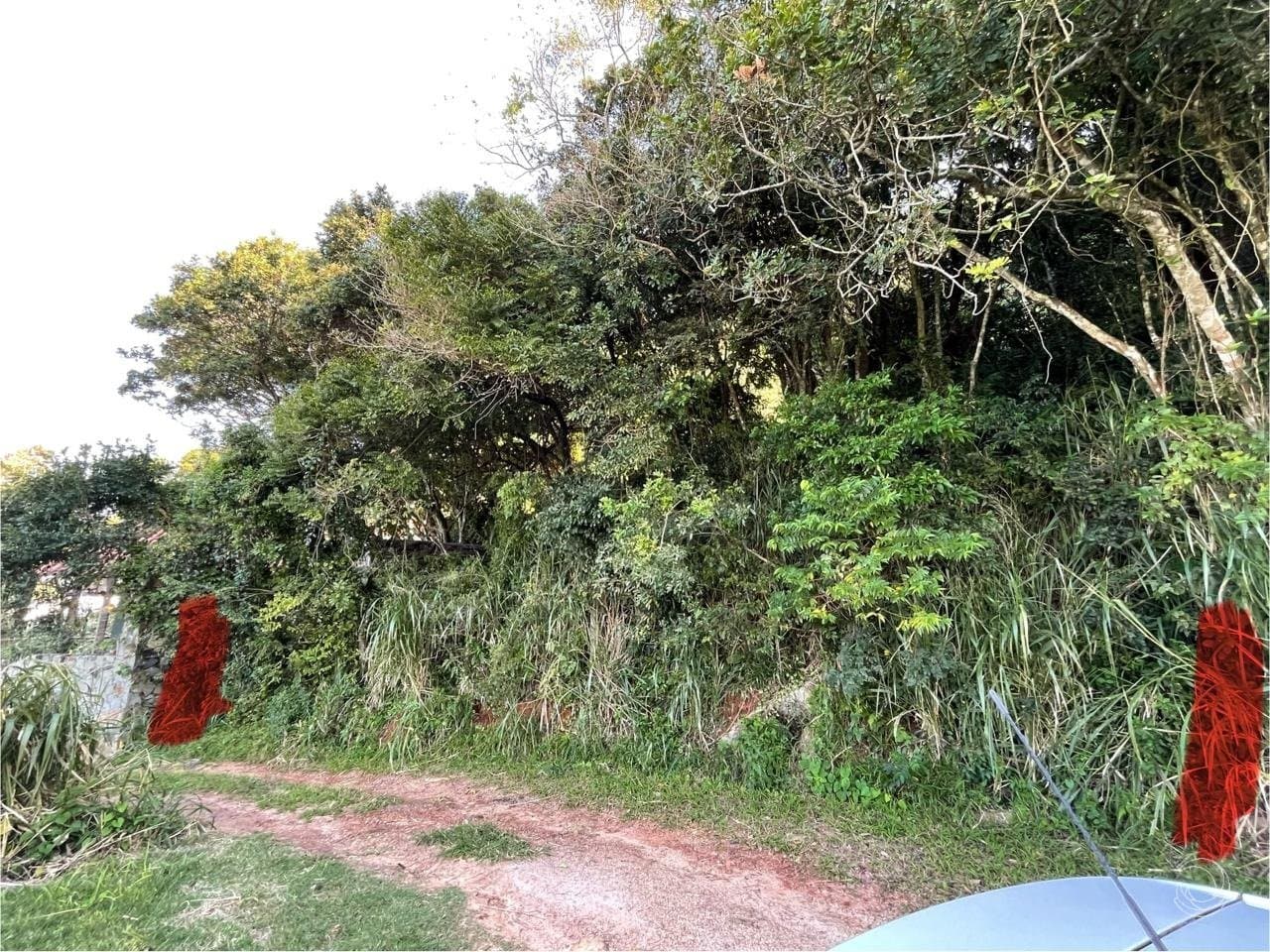 Imagem do anúncio 5