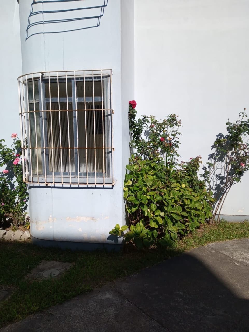 Foto principal do anúncio