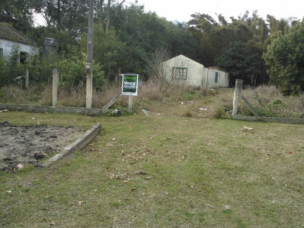 Foto do anúncio número 4