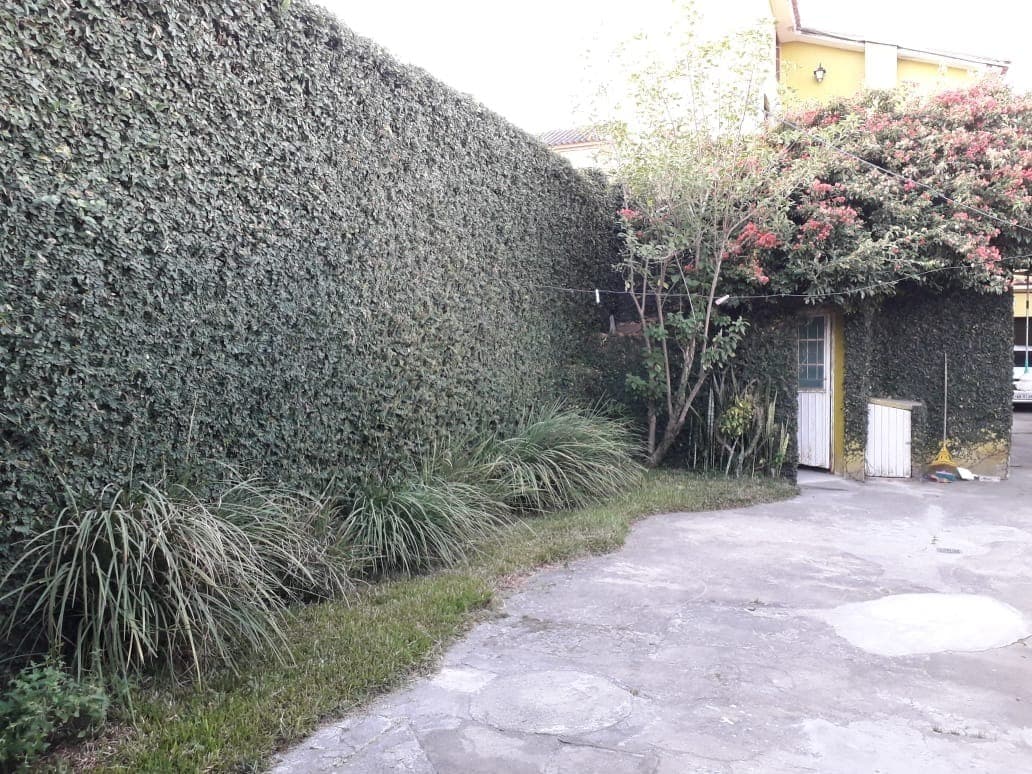 Imagem do anúncio 4