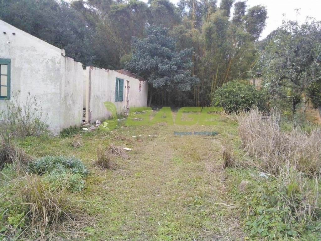 Foto do anúncio número 2