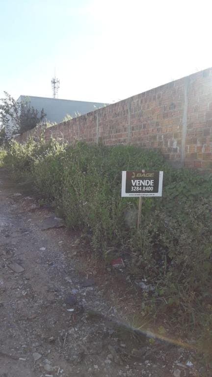 Foto do anúncio número 3