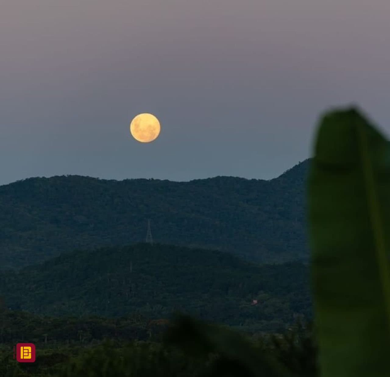 Imagem do anúncio 5