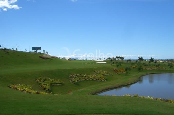 Foto do anúncio número 4