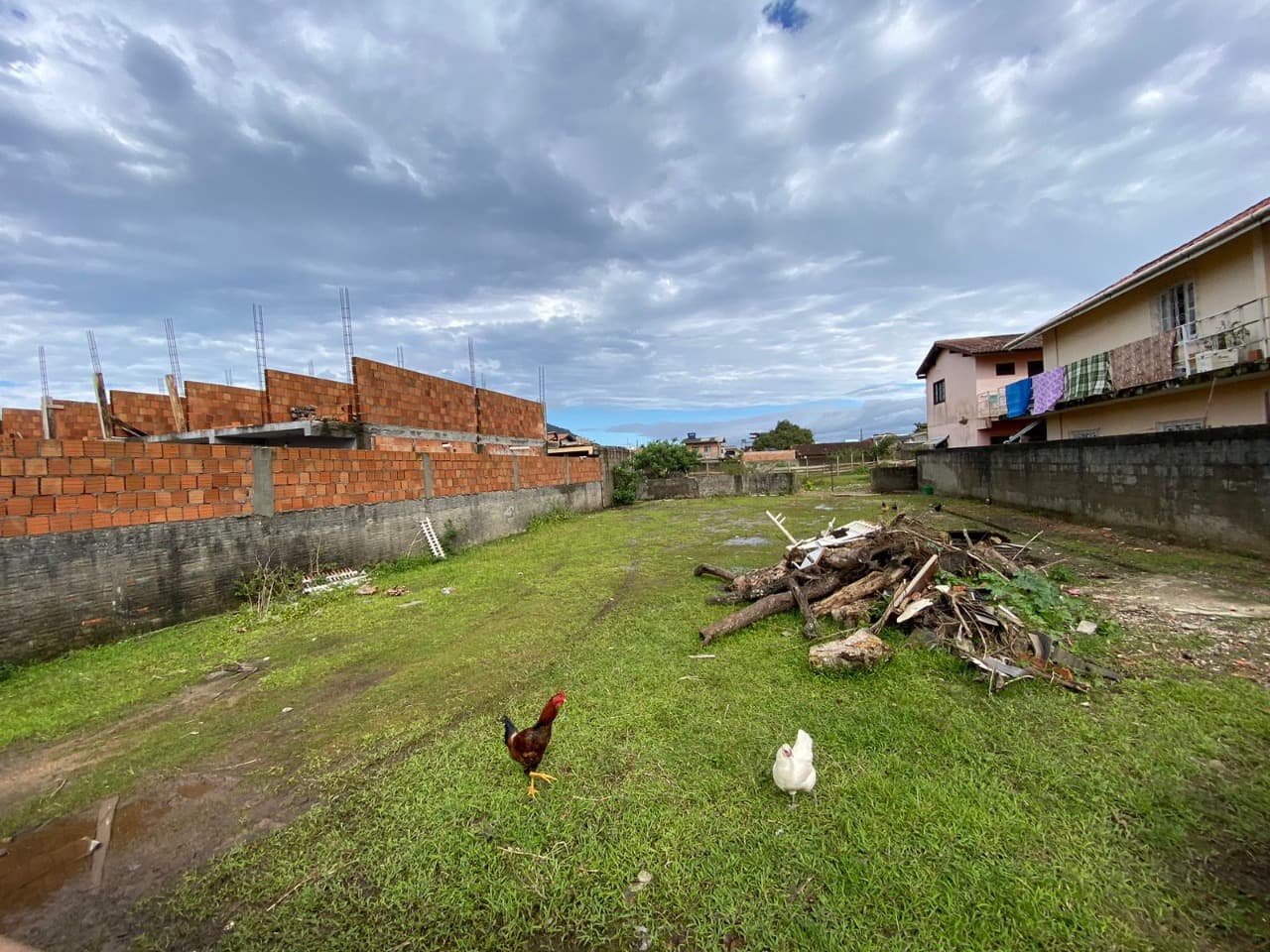 Imagem do anúncio 3