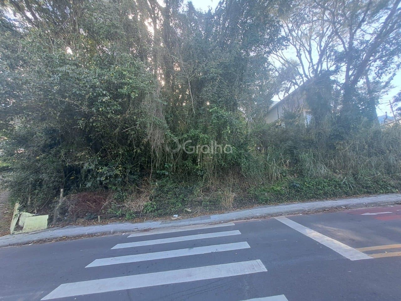 Imagem do anúncio 2