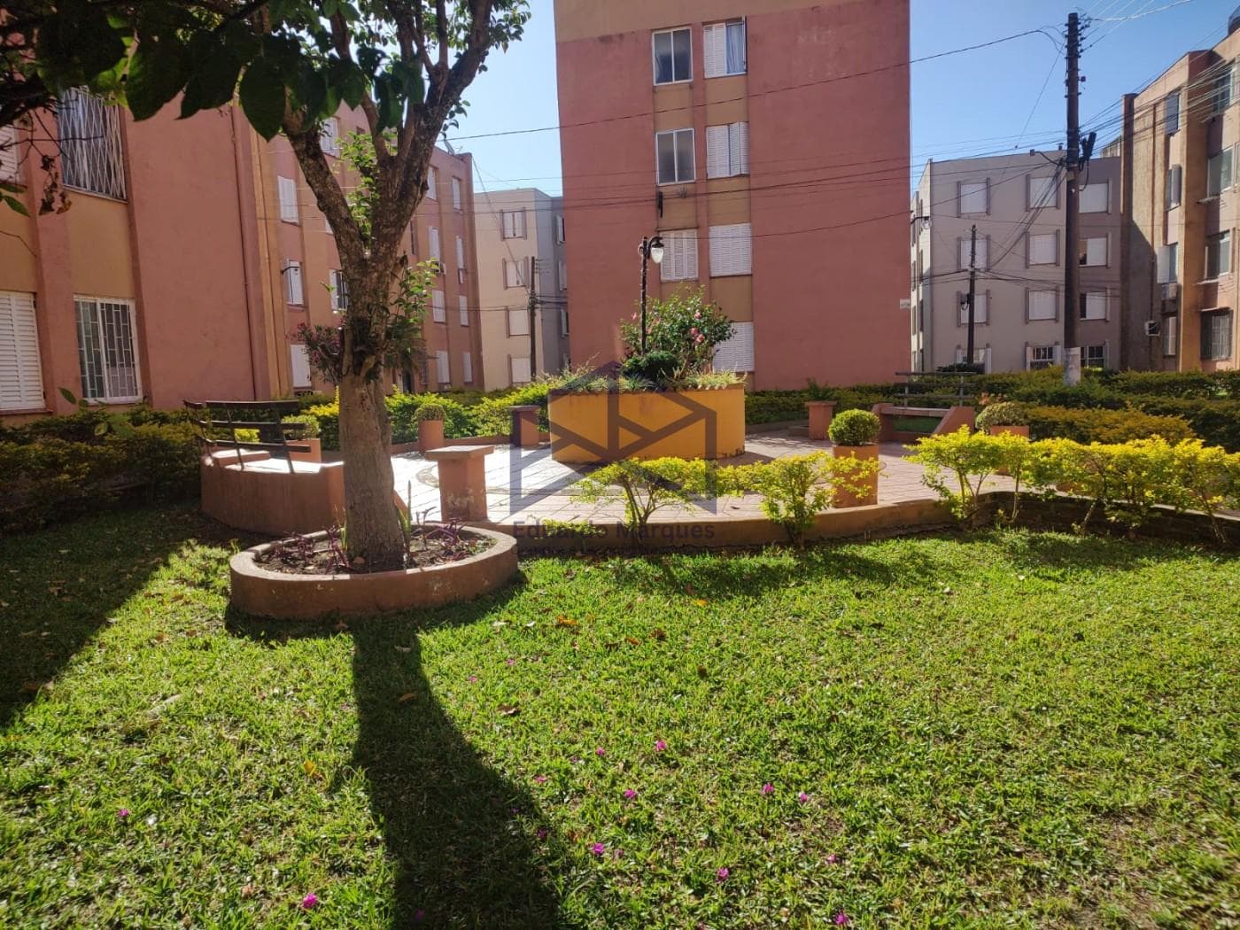Foto do anúncio número 5