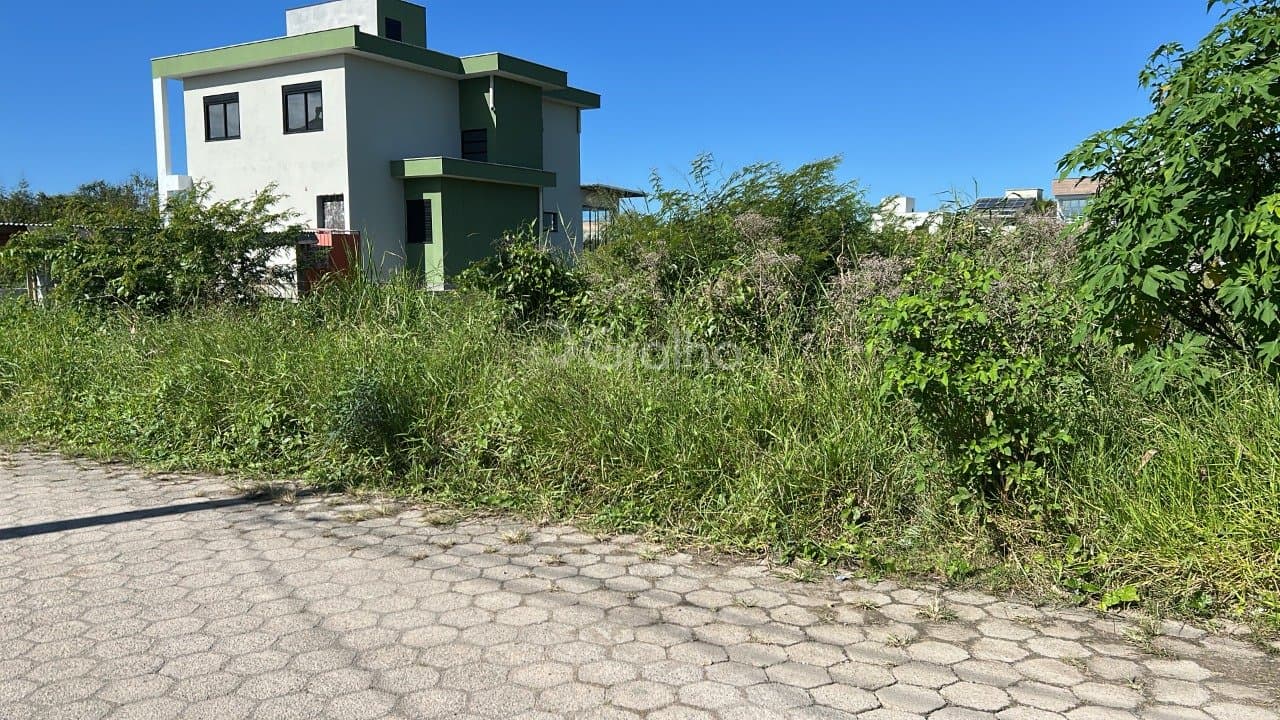 Foto do anúncio número 3
