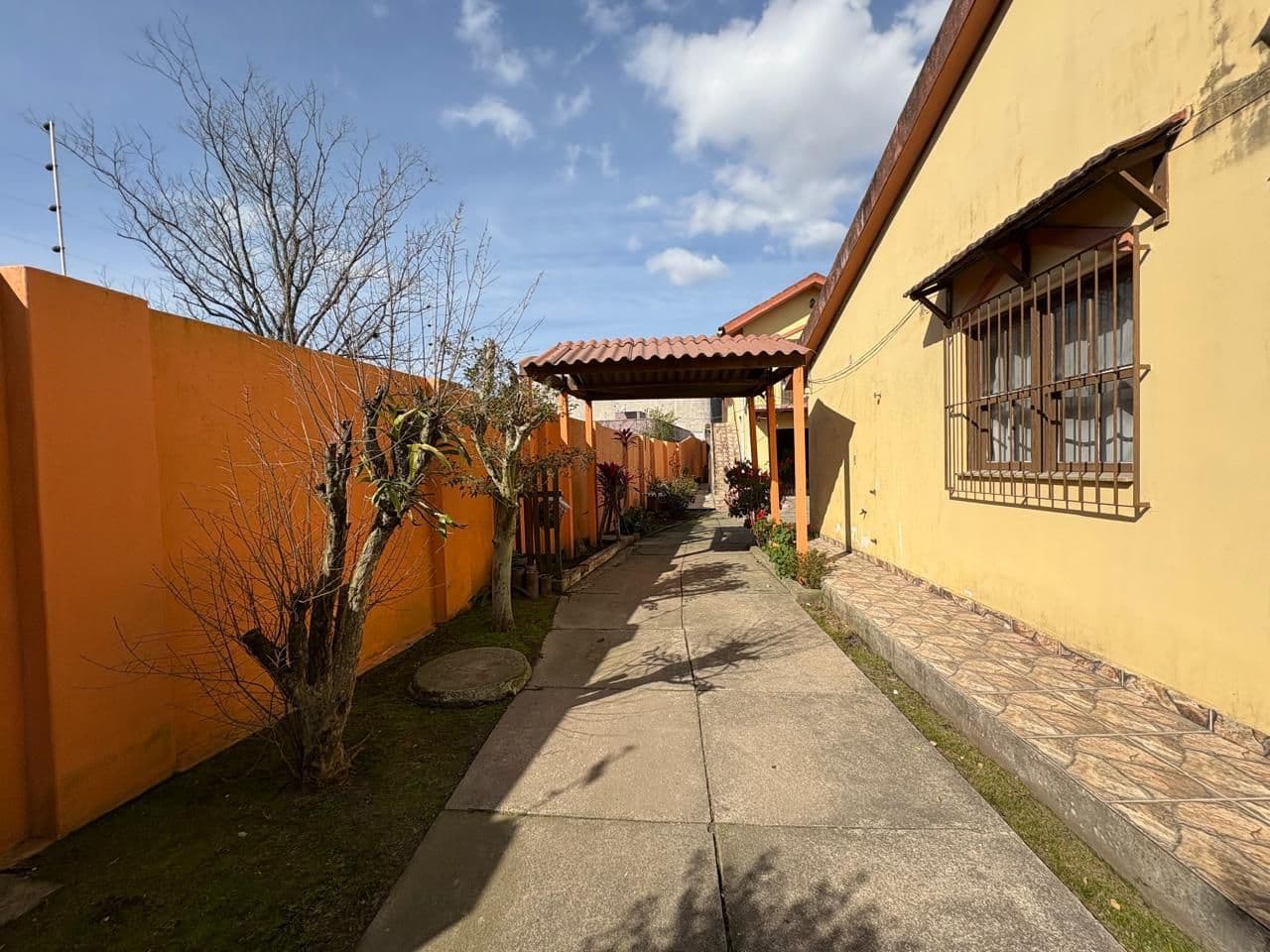 lebtvi-img-264526604