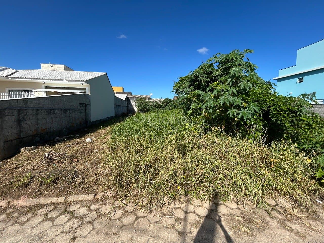 Foto do anúncio número 3