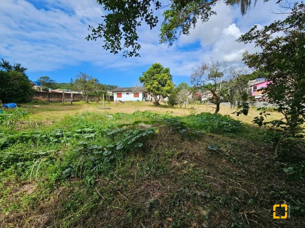 Foto do anúncio número 3
