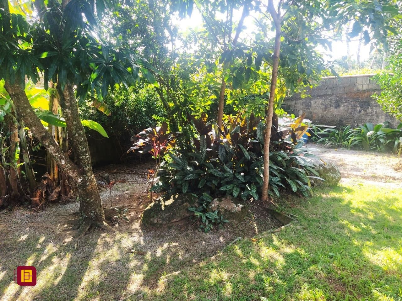 lsol09-i3MiY1jb1324paz4a_467576650a9c89f122.jpg
